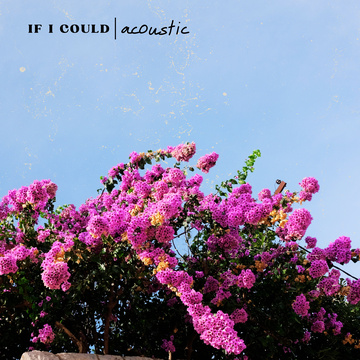 If I Could by MICCOLI — cover art