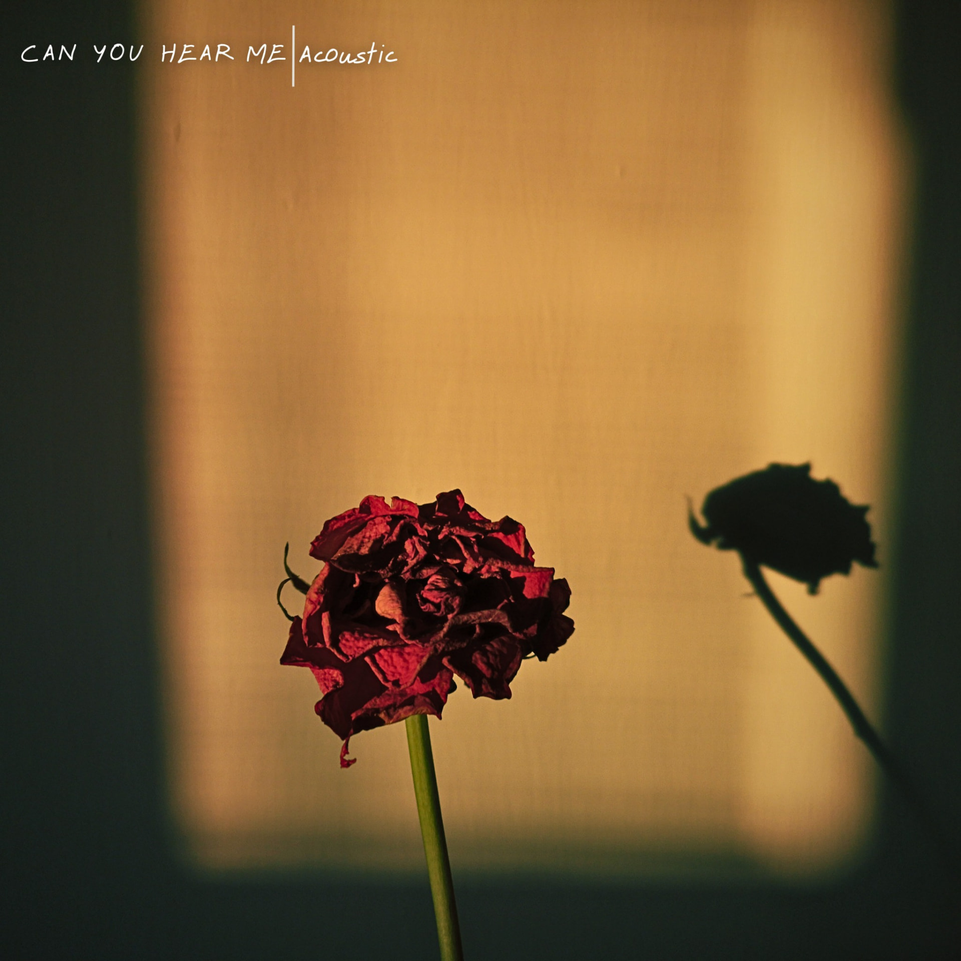 Can You Hear Me by MICCOLI — cover art